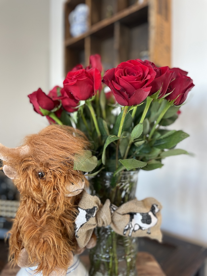 Highland Cow stuffed animal with Roses to celebrate anniversary at The Grand Ranch