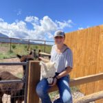 Meet and feed Alpaca on a petting zoo farm tour