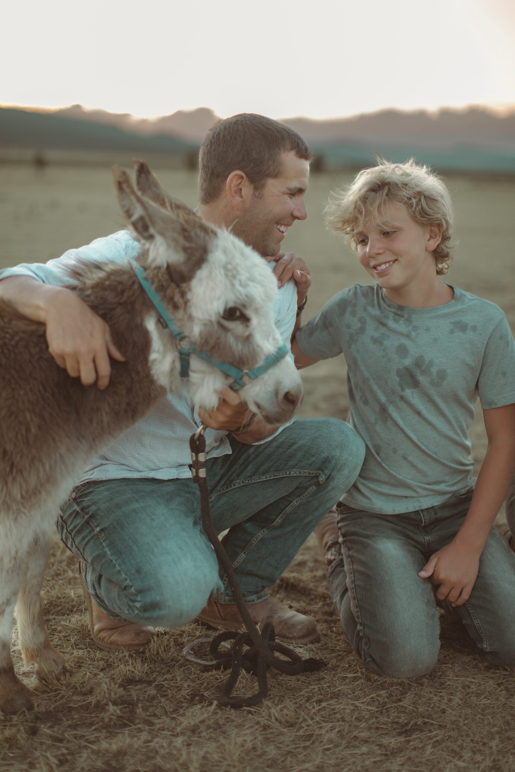 miniature donkey with dad and boy