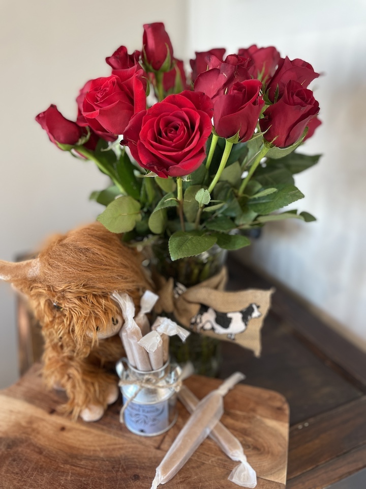 Anniversary gift roses with stuffed animal cow and caramel candy