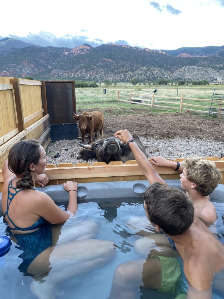 Feed mini highland cows from your private Hot Tub at The Grand Ranch near Zion