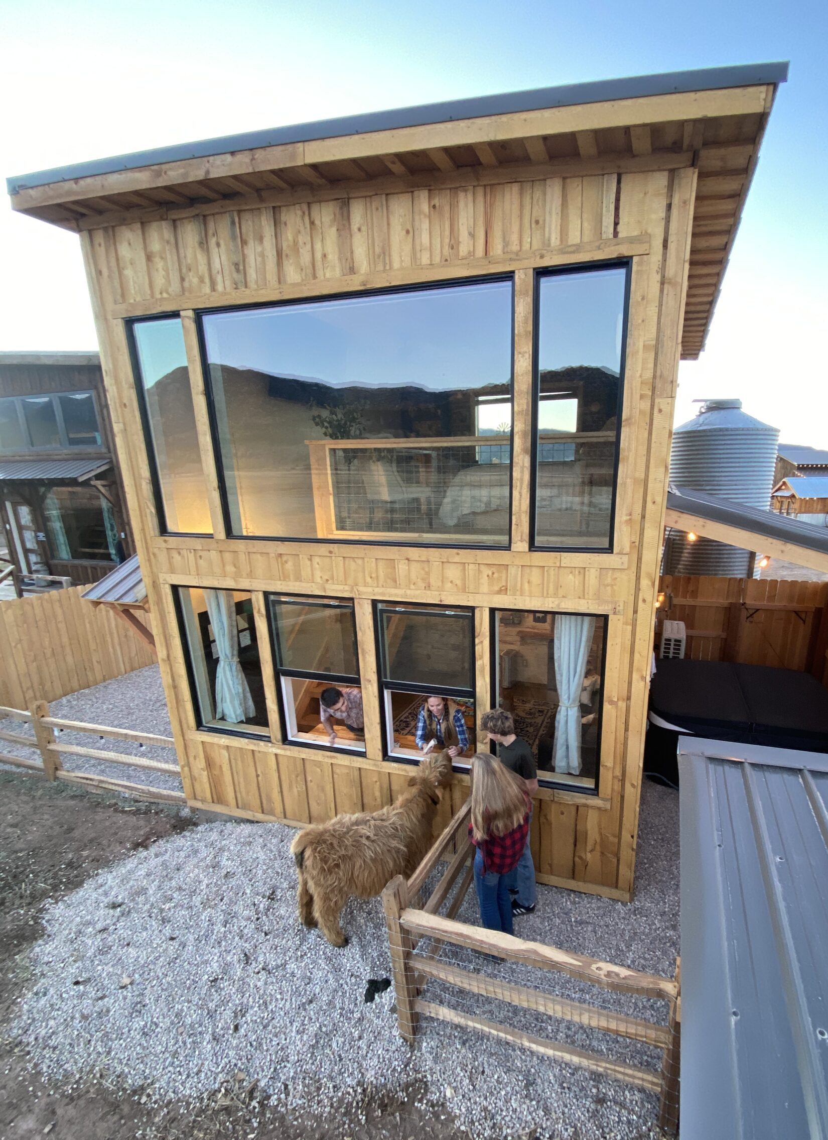 Highland cow mini cow farm stay The Grand Ranch Farmhouse 5